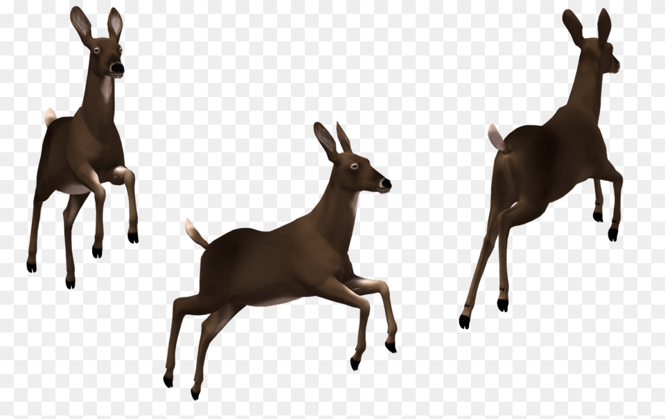 Deer Clip Art, Animal, Mammal, Wildlife, Antelope Png Image
