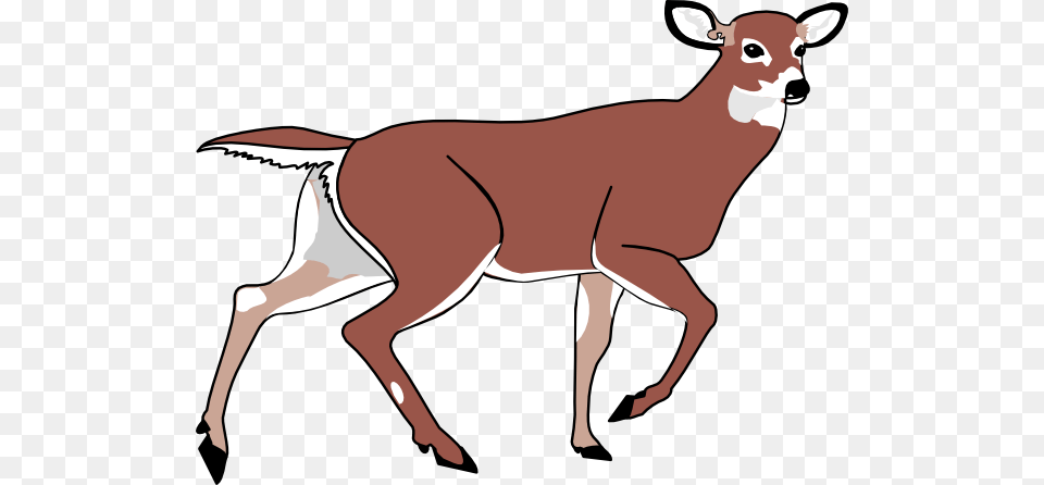 Deer Clip Art, Animal, Mammal, Wildlife, Cattle Free Png Download