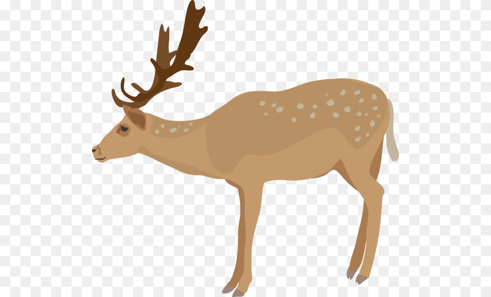 Deer Clip Art, Animal, Mammal, Wildlife, Elk Png Image