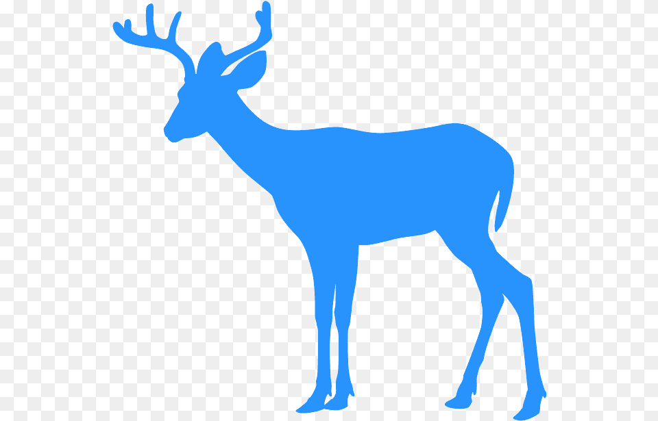 Deer Clip Art, Animal, Wildlife, Mammal, Adult Free Png