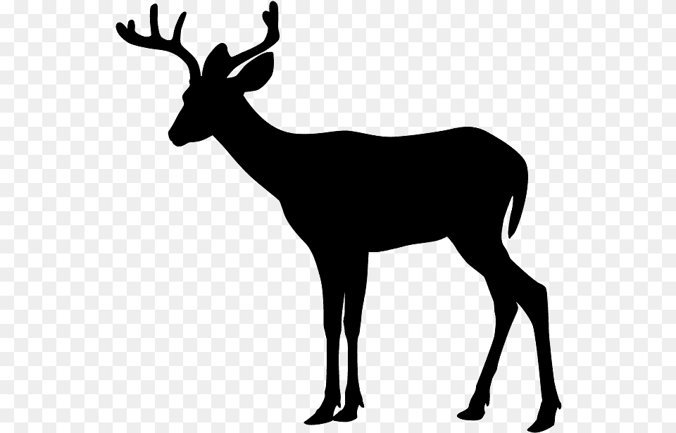Deer Clip Art Black And White, Gray Free Png Download