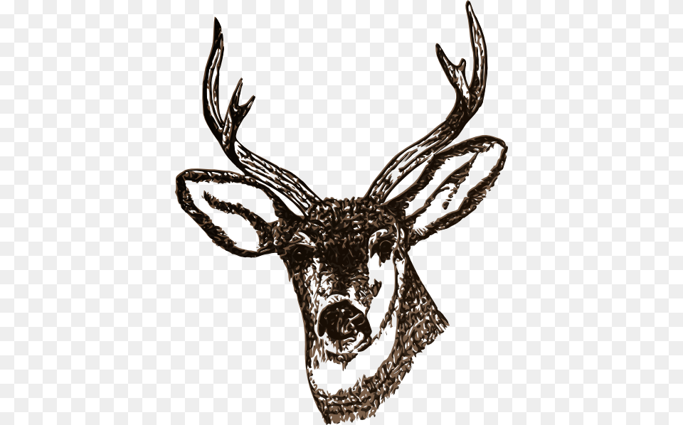 Deer Clip Art For Web, Animal, Antler, Mammal, Wildlife Free Transparent Png