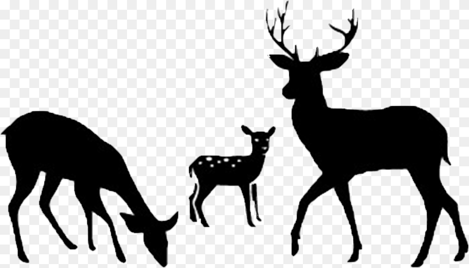 Deer Clip Art Silhouette Vector Graphics Portable Network Eat Sleep Hunt Svg, Animal, Stencil, Mammal, Wildlife Free Png Download