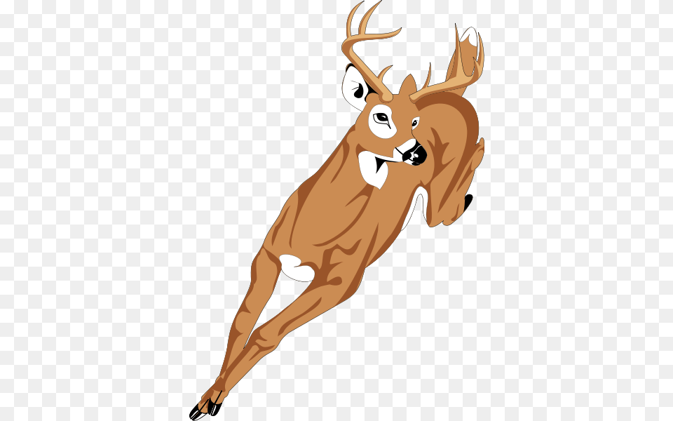 Deer Clip Arts For Web, Animal, Mammal, Wildlife, Kangaroo Free Transparent Png