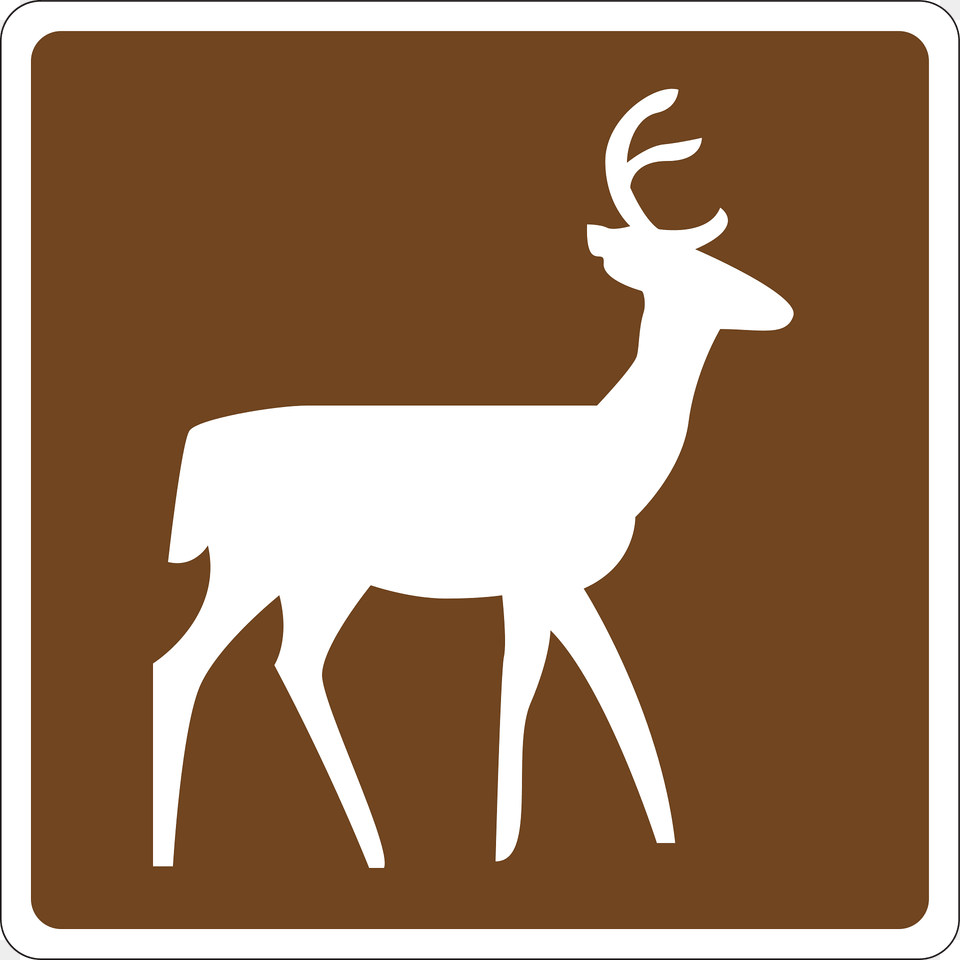 Deer Clipart, Animal, Mammal, Wildlife, Antelope Free Png