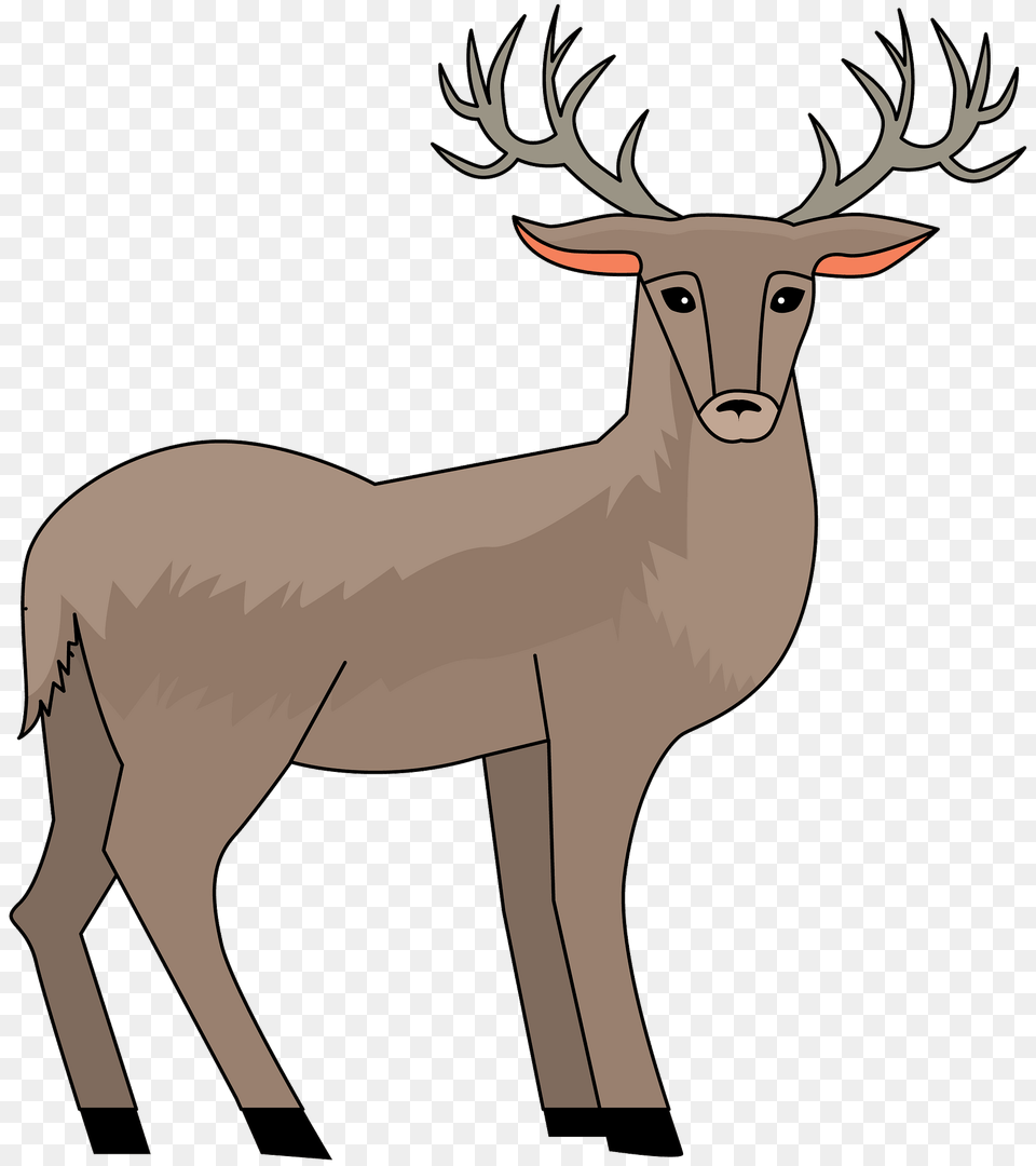 Deer Clipart, Animal, Elk, Mammal, Wildlife Free Transparent Png