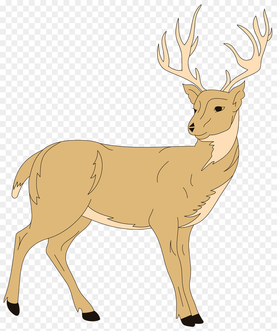 Deer Clipart, Animal, Mammal, Wildlife, Elk Png Image