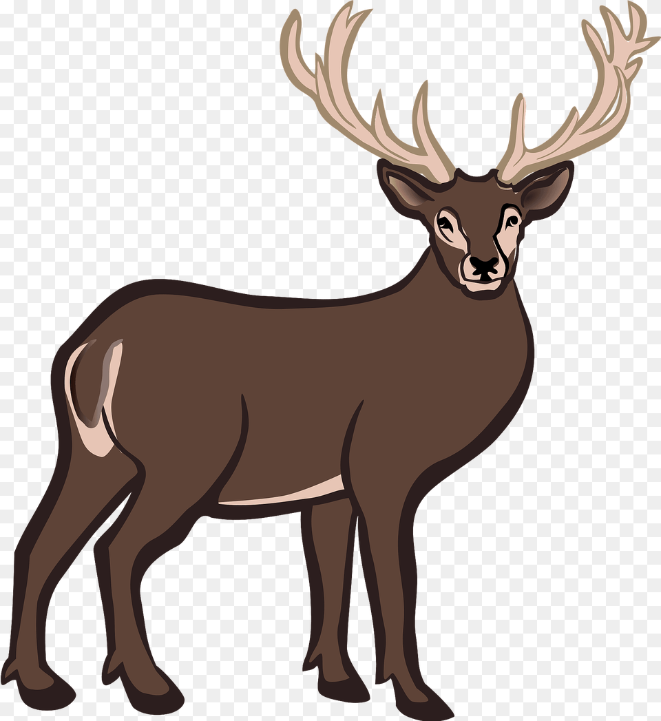 Deer Clipart, Animal, Elk, Mammal, Wildlife Free Png Download