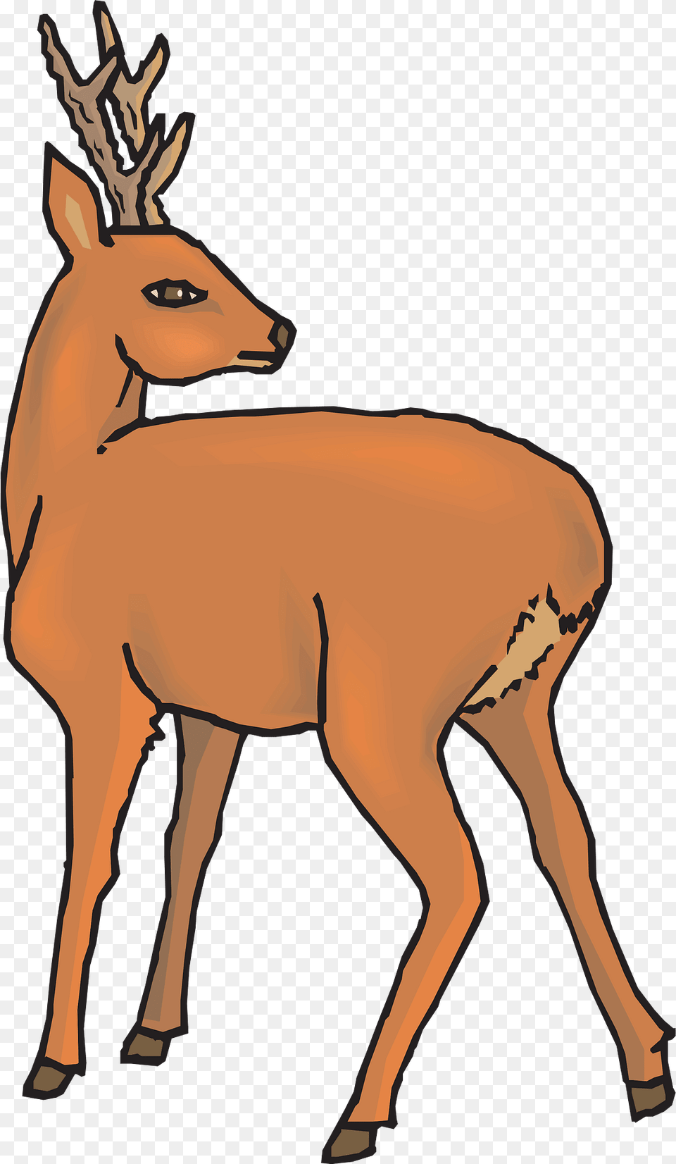 Deer Clipart, Animal, Mammal, Wildlife, Person Png Image