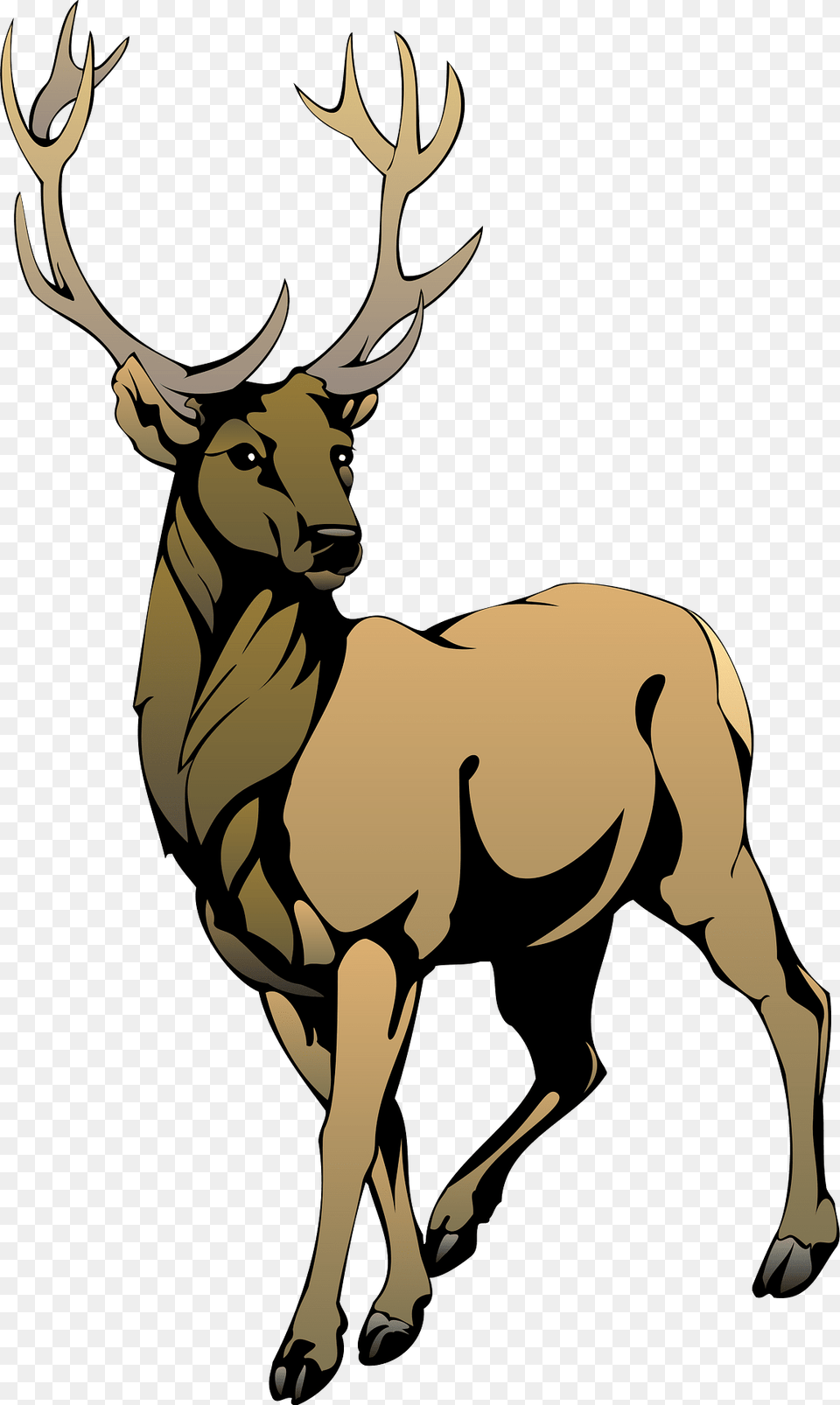 Deer Clipart, Animal, Elk, Mammal, Wildlife Free Png
