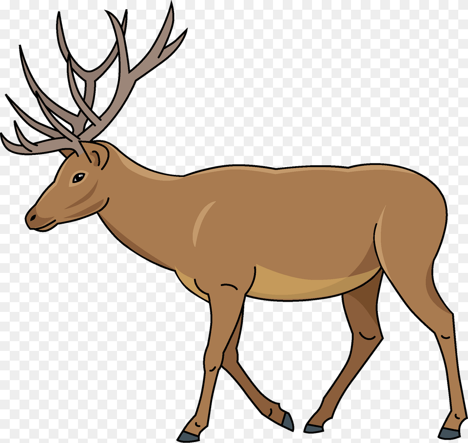 Deer Clipart, Animal, Elk, Mammal, Wildlife Free Transparent Png