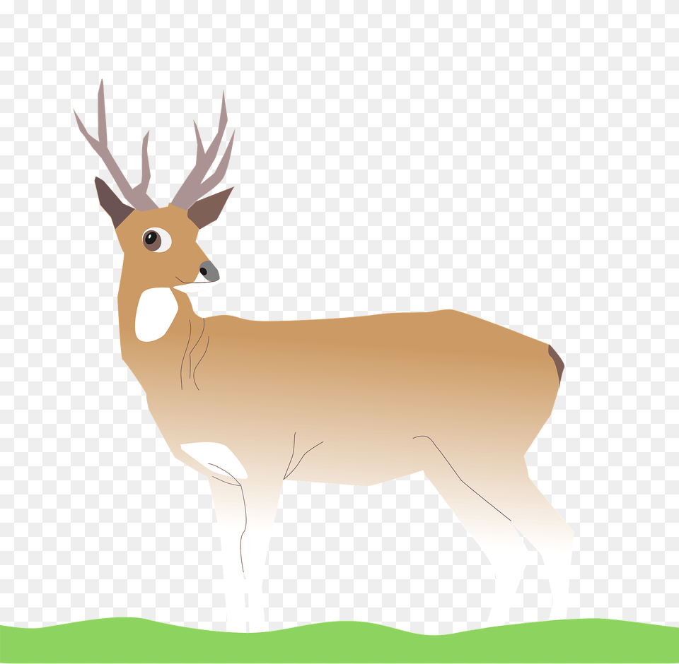 Deer Clipart, Animal, Mammal, Wildlife, Elk Png