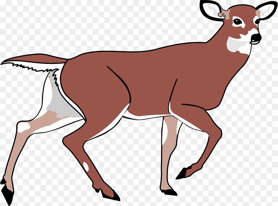 Deer Clipart, Animal, Mammal, Wildlife, Antelope Free Transparent Png