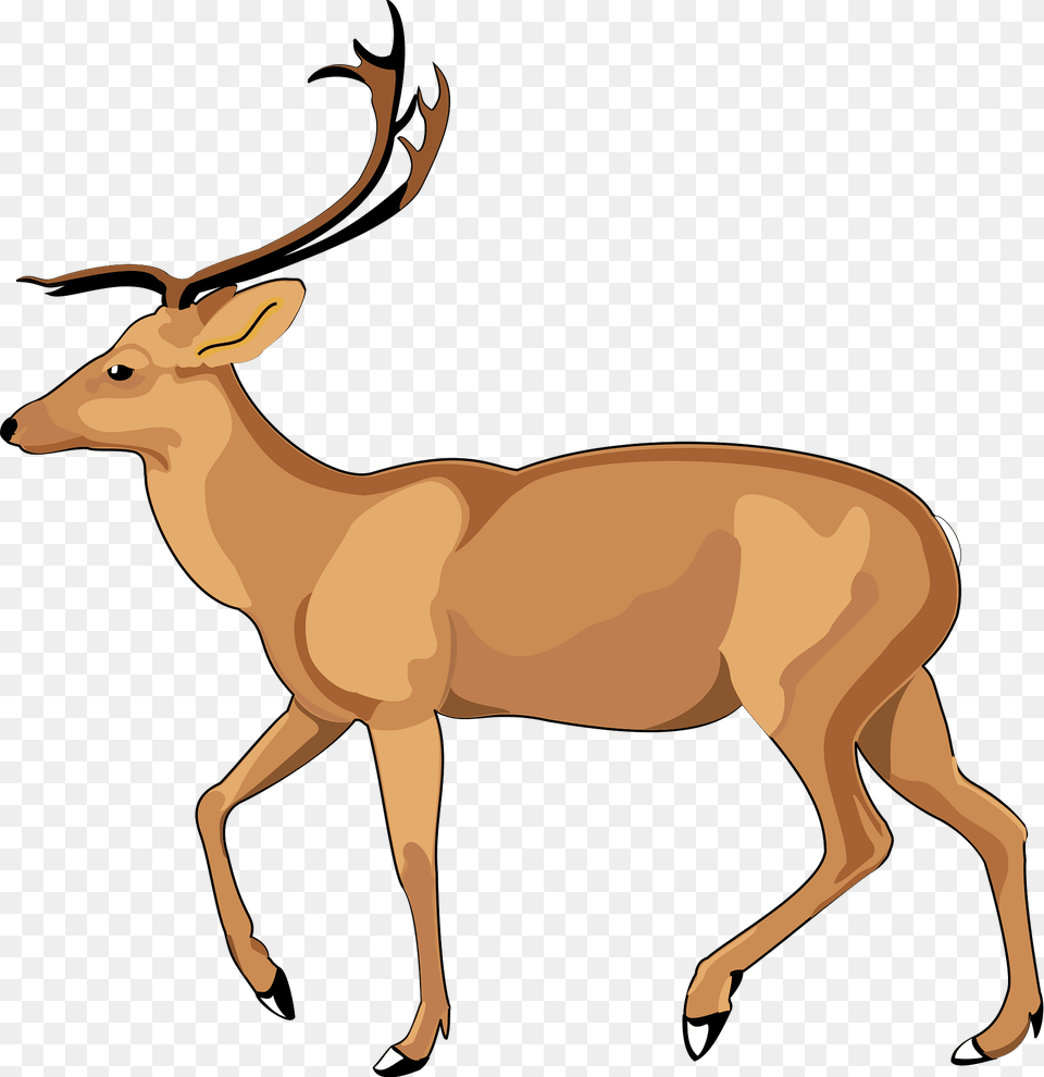 Deer Clipart, Animal, Mammal, Wildlife, Antelope Free Transparent Png