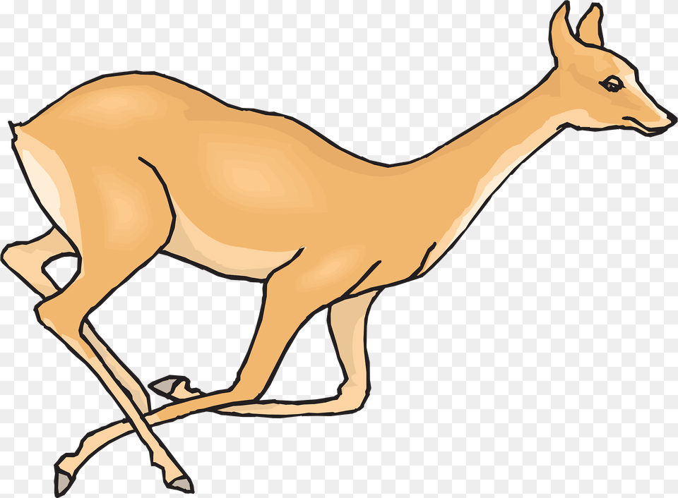 Deer Clipart, Animal, Antelope, Impala, Mammal Free Transparent Png