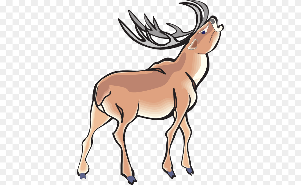 Deer Clipart Angry, Animal, Mammal, Wildlife, Antelope Free Png