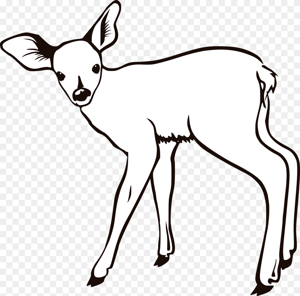 Deer Clipart Fawn Deer Outline, Animal, Mammal, Wildlife, Livestock Free Png Download