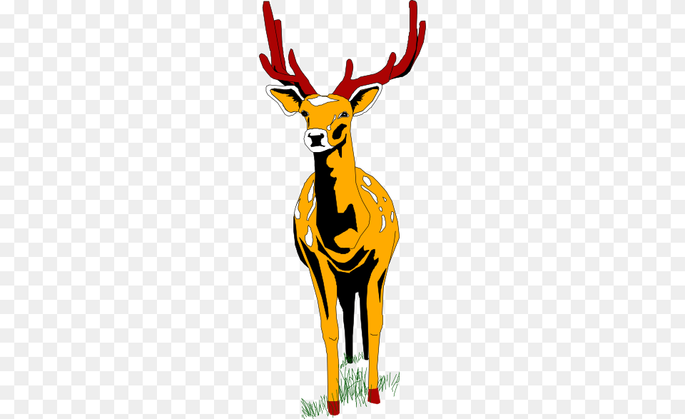 Deer Clipart Front, Animal, Elk, Mammal, Wildlife Png Image