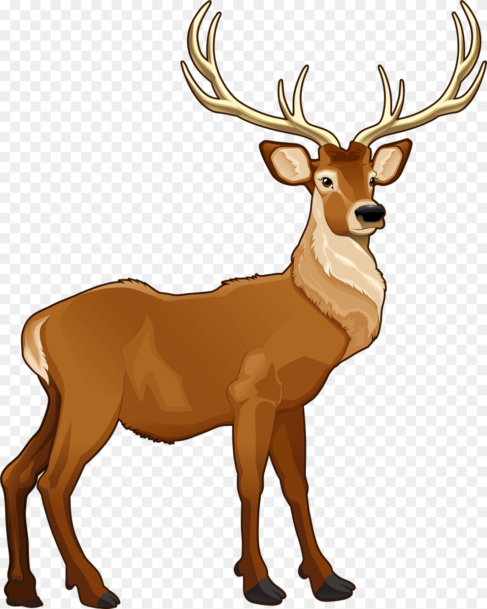 Deer Clipart Reindeer Clipart, Animal, Elk, Mammal, Wildlife Png