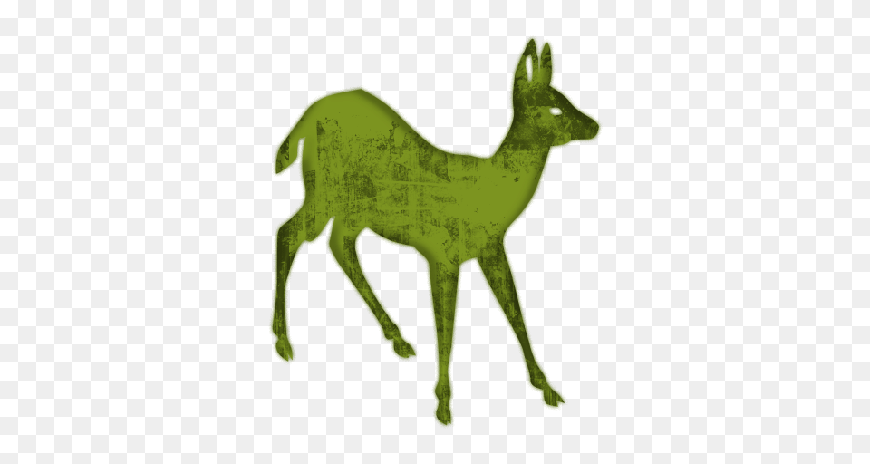 Deer Clipart Suggestions For Deer Clipart Deer Clipart, Animal, Mammal, Wildlife, Kangaroo Png