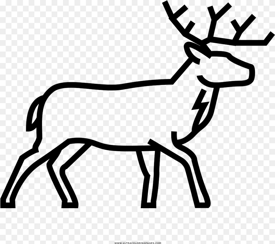 Deer Coloring, Gray Png Image
