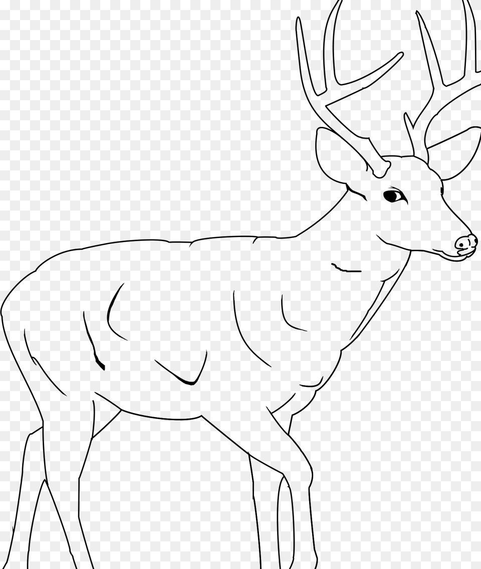 Deer Coloring Pages Coloringsuite Hunting Drawing, Animal, Mammal, Wildlife, Elk Free Png