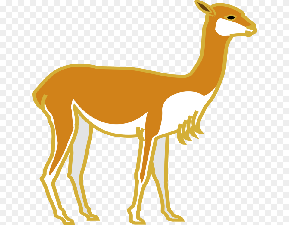 Deer Computer Icons Peru Mammal Drawing, Animal, Wildlife, Zebra, Llama Free Png Download