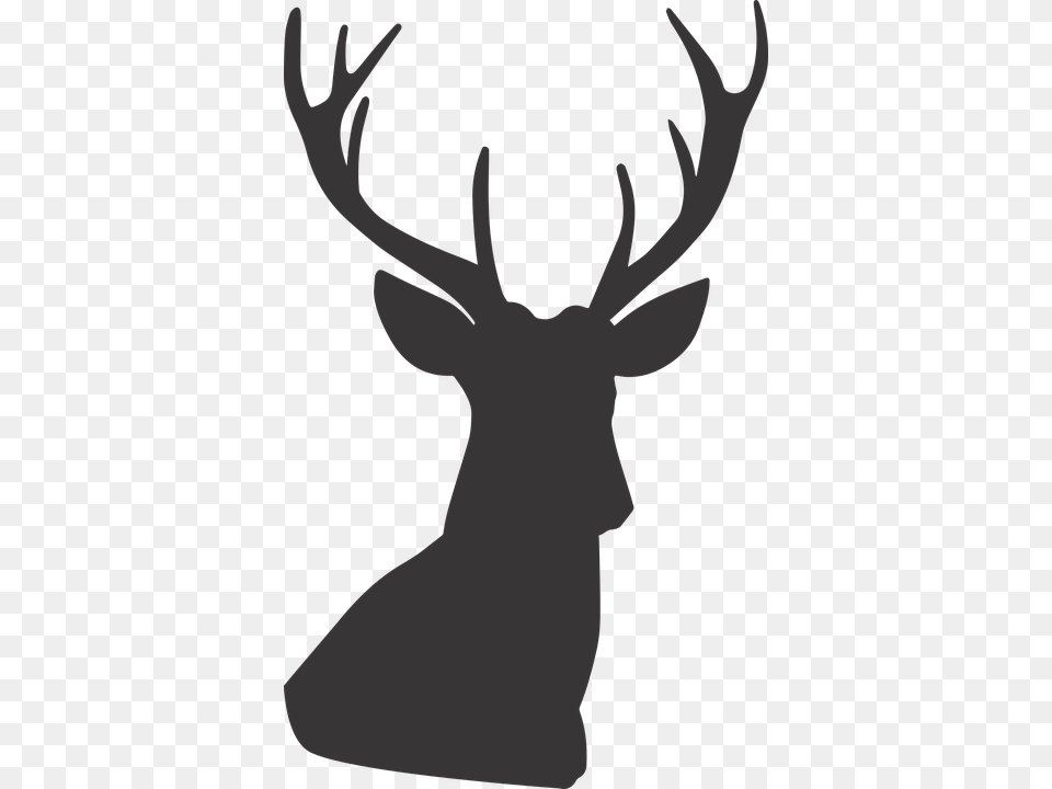 Deer Deer Silhouette Silhouette Animal Wild Deer Head Silhouette, Mammal, Wildlife, Antler, Elk Free Transparent Png