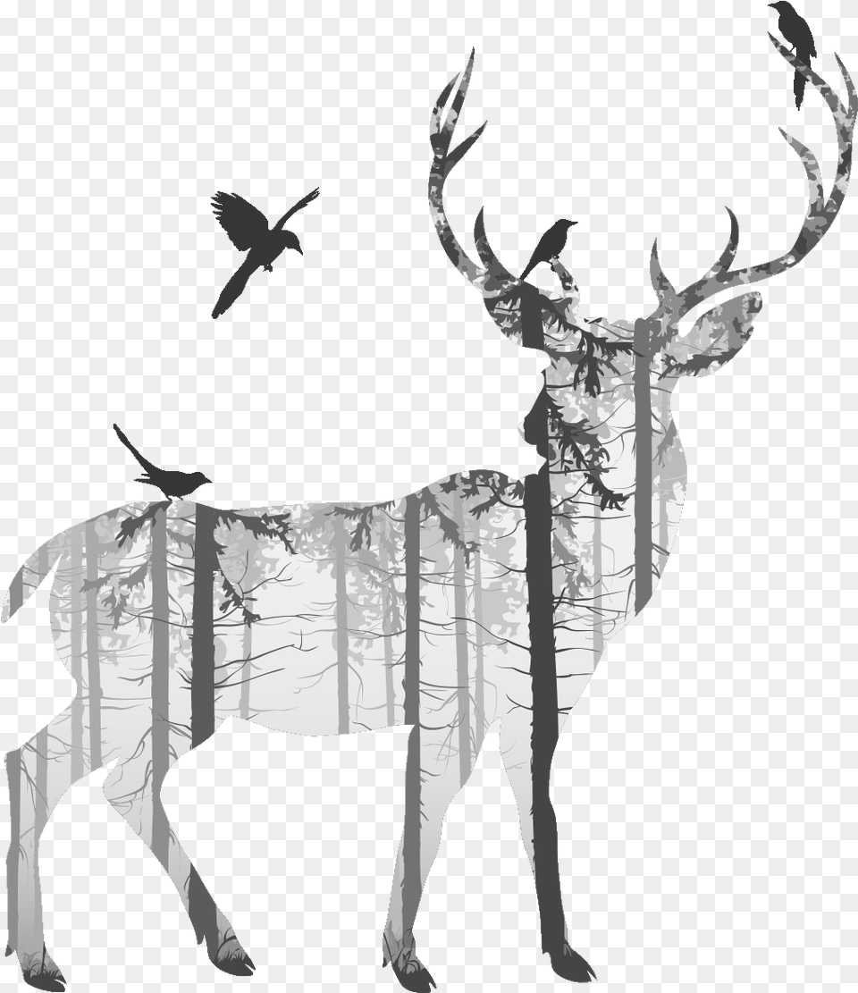 Deer Drawing, Animal, Wildlife, Mammal, Elk Png