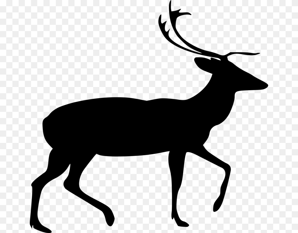 Deer Drawing Line Art Computer Icons Download, Gray Png