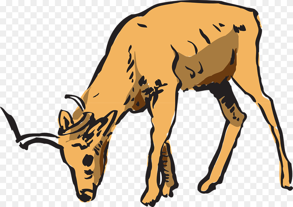 Deer Eating Clipart, Adult, Person, Man, Male Free Transparent Png