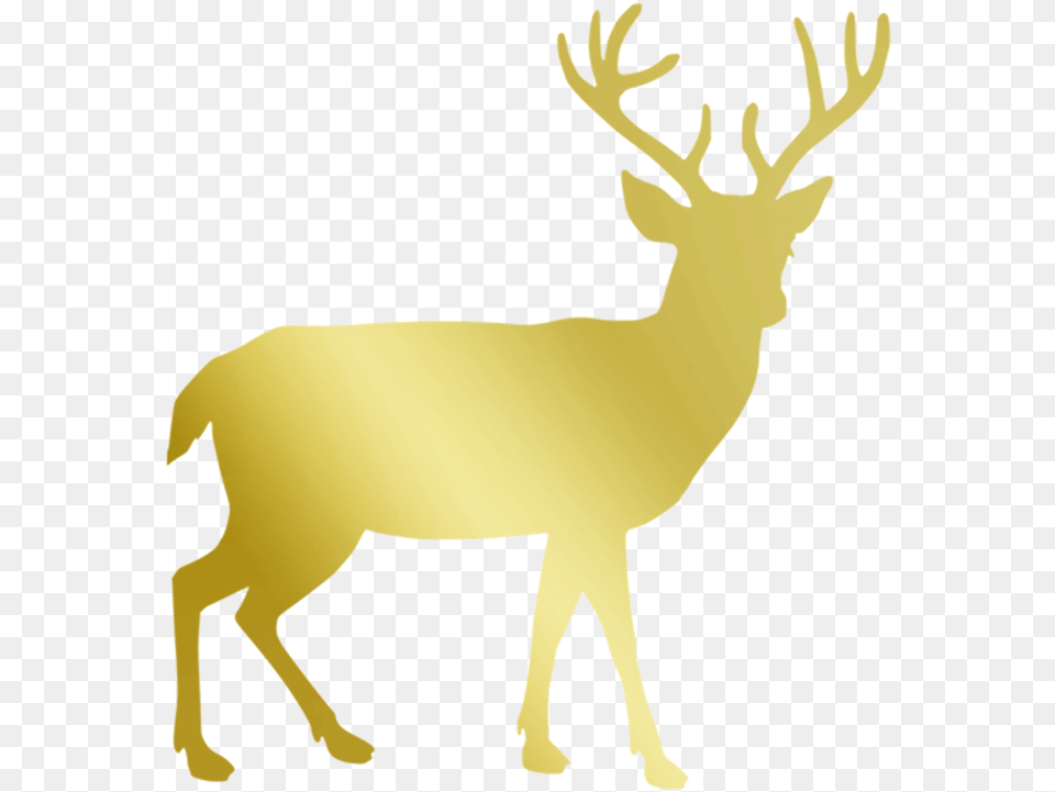 Deer Freepngtransparentbackgroundimagesfreedownload Deer Silhouette Svg, Animal, Mammal, Wildlife, Elk Free Png Download