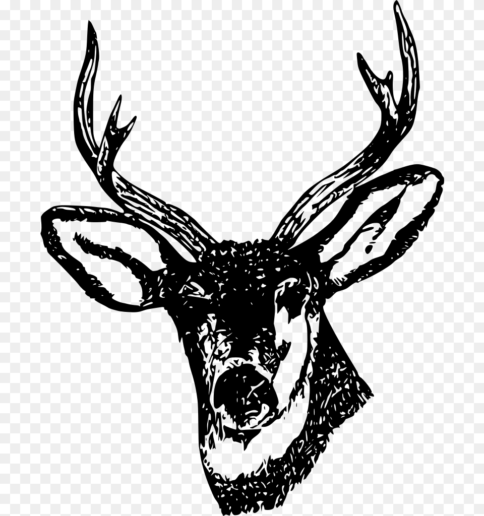 Deer Green Stag, Gray Png Image