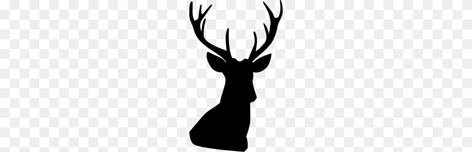 Deer Head, Gray Png Image