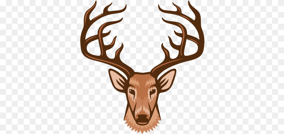 Deer Head Cartoon Elk Head, Animal, Antler, Mammal, Wildlife Free Transparent Png