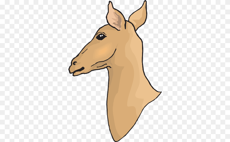 Deer Head Clip Art, Animal, Mammal, Wildlife, Person Png Image