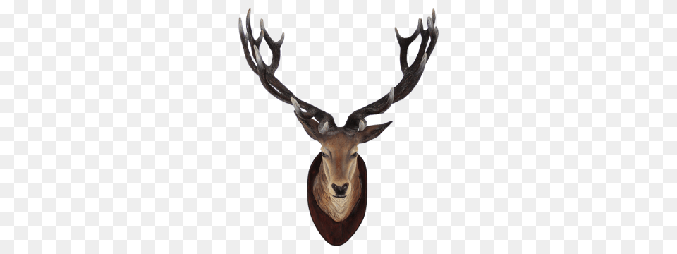 Deer Head Clipart, Animal, Antelope, Antler, Mammal Free Png Download
