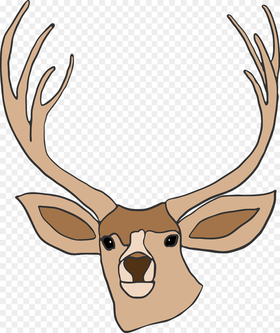 Deer Head Clipart, Animal, Antler, Mammal, Wildlife Png Image