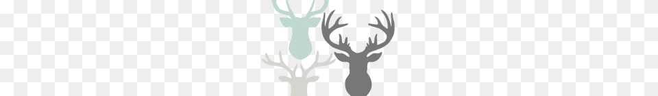 Deer Head Clipart Deer Head Clipart Dear Skull Deer Skull Image, Animal, Antler, Mammal, Wildlife Free Png