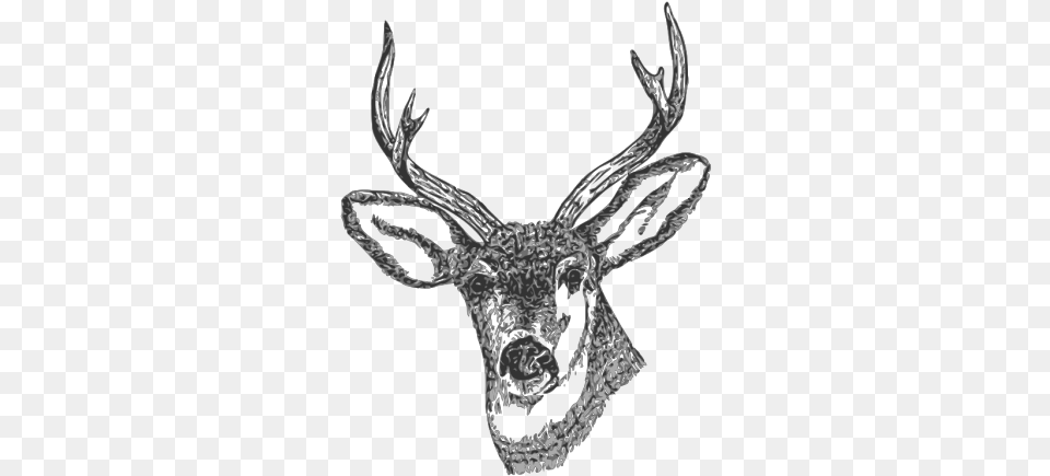 Deer Head Icons Kepala Rusa, Animal, Mammal, Wildlife, Antler Free Png Download