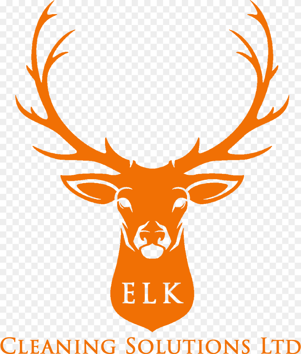 Deer Head Illustration Free Download 943 The Buck, Animal, Mammal, Wildlife, Person Png Image