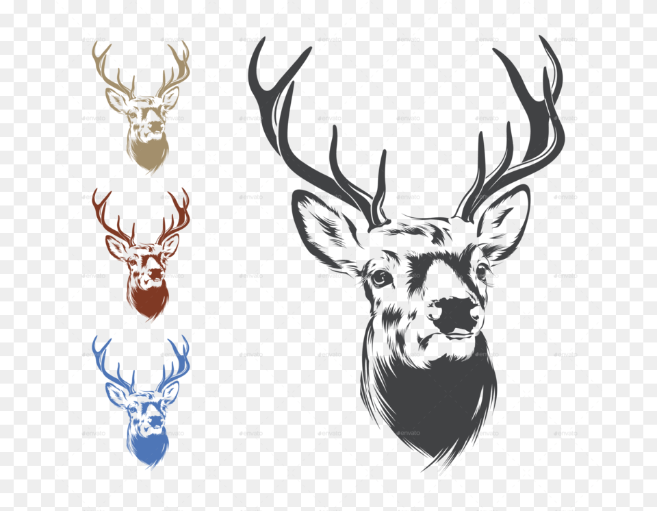Deer Head Deer Head, Animal, Mammal, Wildlife, Antler Png Image