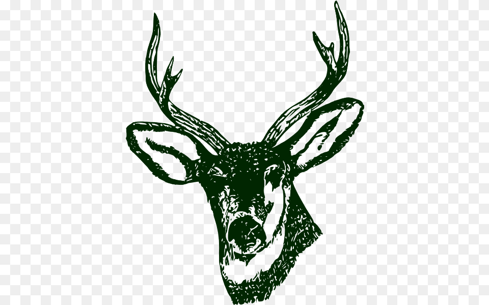 Deer Head Logo Stag Head Clipart, Animal, Mammal, Wildlife, Antler Free Transparent Png