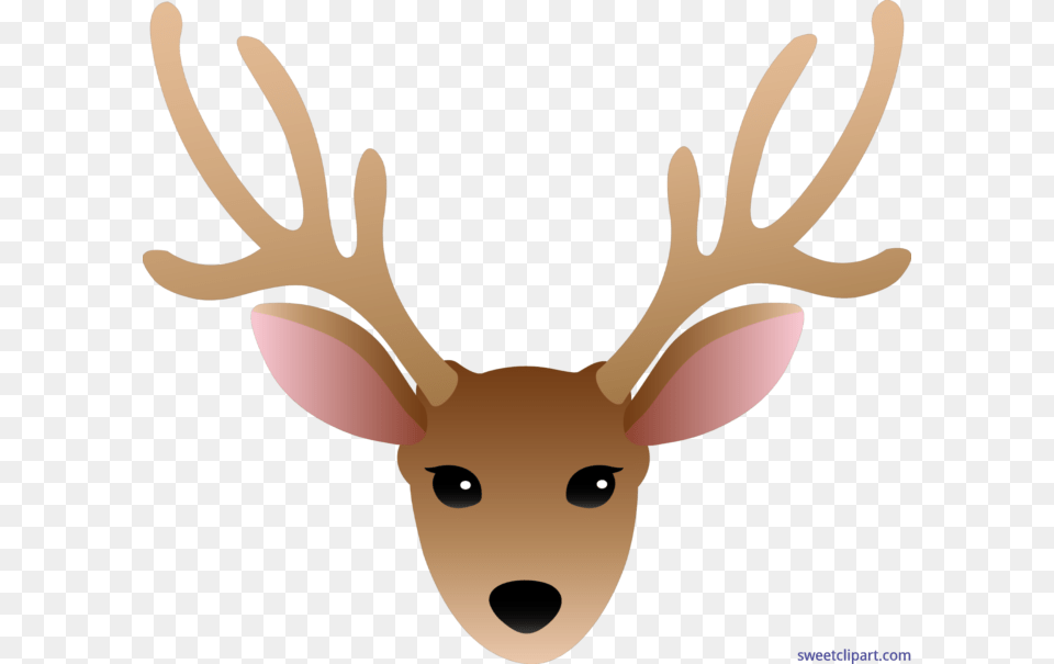 Deer Head Male Clip Art, Animal, Antler, Mammal, Wildlife Free Transparent Png