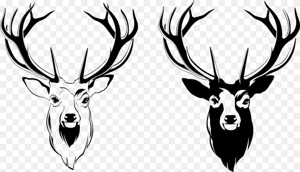 Deer Head Picture Deer Head Vector, Silhouette, Person, Antler, Animal Free Transparent Png