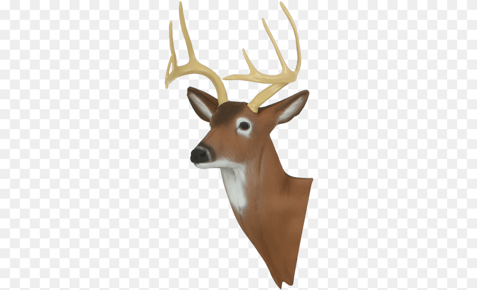 Deer Head Reindeer, Animal, Mammal, Wildlife, Antler Free Transparent Png