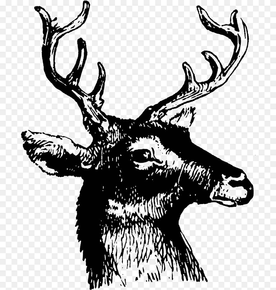 Deer Head Silhouette, Gray Png