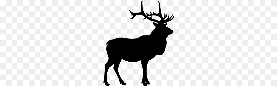 Deer Head Silhouette, Animal, Elk, Mammal, Wildlife Free Png Download