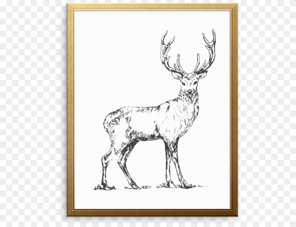 Deer Heart Art Print Elk, Animal, Mammal, Wildlife, Antelope Png Image