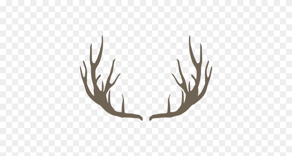Deer Horn, Antler Png